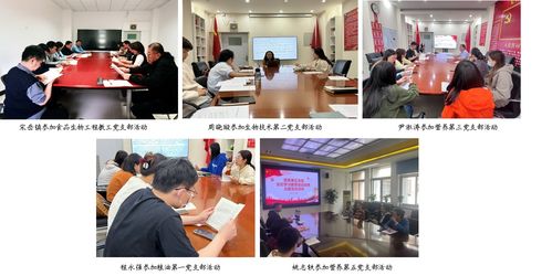 食品学院广泛掀起党纪学习教育热潮 教育信息咨询服务